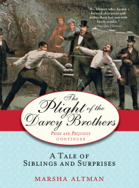 Cover image: The Plight of the Darcy Brothers 9781402224294