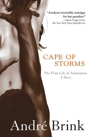 Cover image: Cape of Storms 1st edition 9781402208645