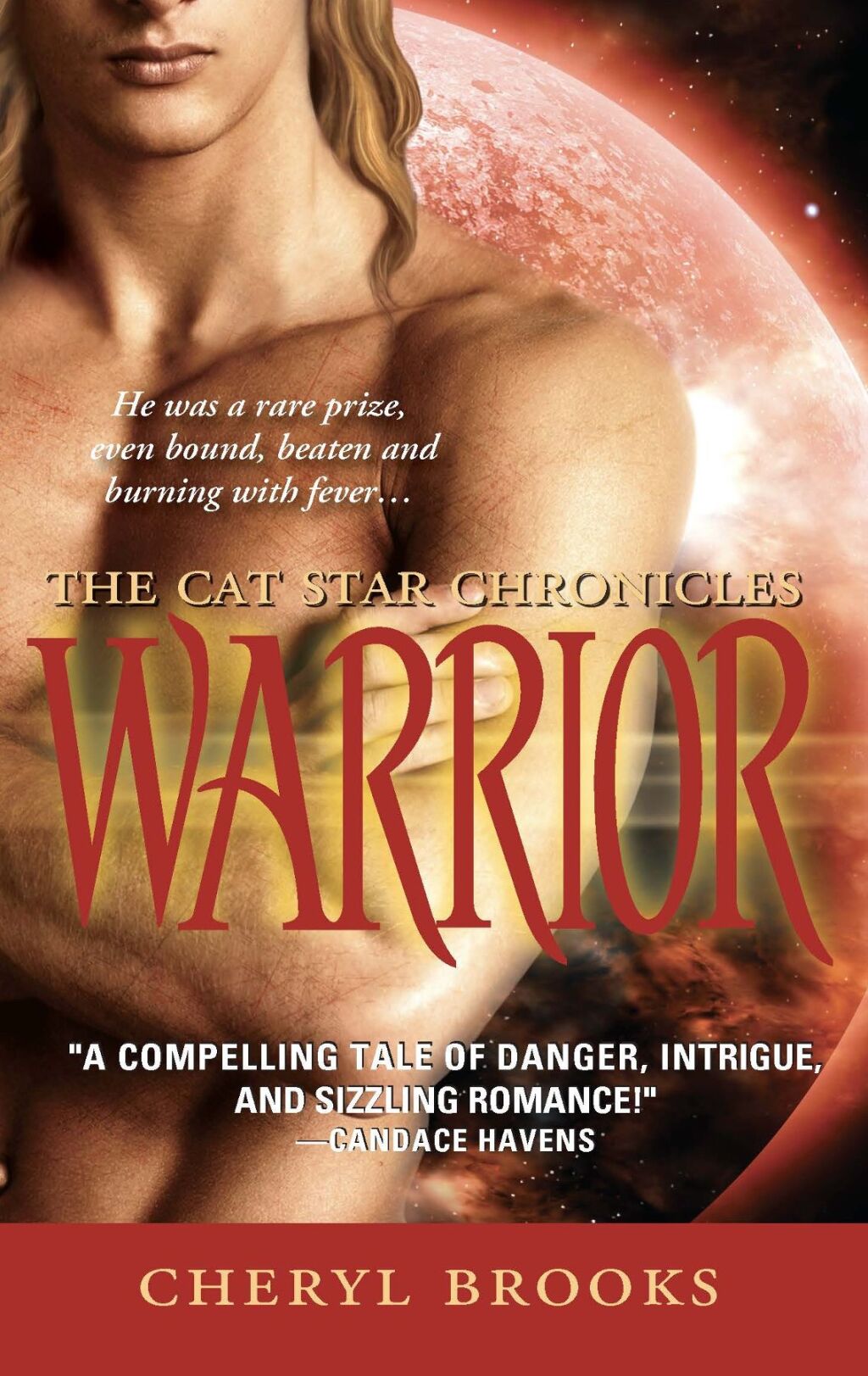 Warrior (eBook)