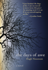 Omslagafbeelding: The Days of Awe 1st edition 9781402207563