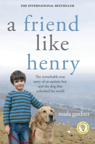 Cover image: A Friend Like Henry 9781402214066