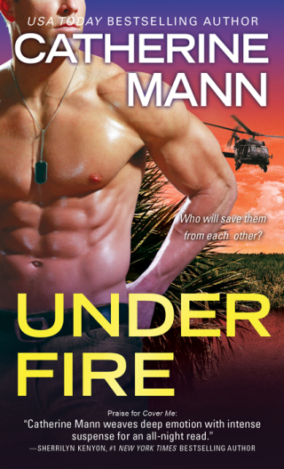 Imagen de portada: Under Fire 9781402245015