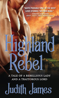 Cover image: Highland Rebel 1st edition 9781402224331