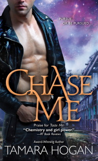 Cover image: Chase Me 9781402246043