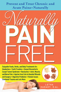 Cover image: Naturally Pain Free 9781402265310