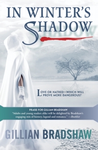 Cover image: In Winter's Shadow 9781402240744