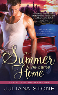Omslagafbeelding: The Summer He Came Home 9781402274800