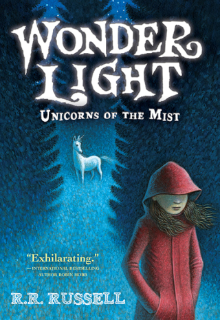 Cover image: Wonder Light 9781402279898