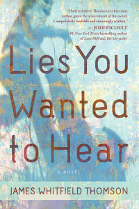 Cover image: Lies You Wanted to Hear 9781402284281