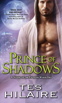 Cover image: Prince of Shadows 9781402284885