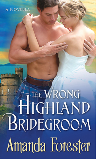 Cover image: The Wrong Highland Bridegroom 1st edition 9781402286322