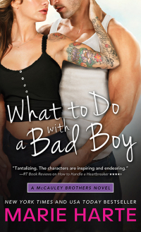 Cover image: What to Do with a Bad Boy 9781402287435