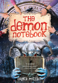 Cover image: The Demon Notebook 9781402295386