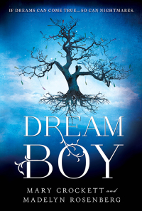 Cover image: Dream Boy 9781402295836