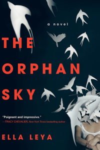 Immagine di copertina: The Orphan Sky 9781402298653