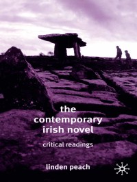 Cover image: The Contemporary Irish Novel 1st edition 9780333948927