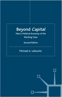 Omslagafbeelding: Beyond Capital 2nd edition 9780333964293