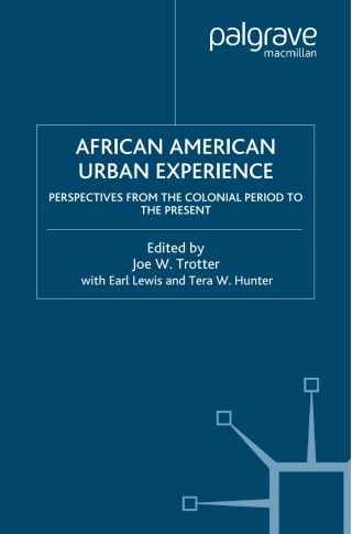 Omslagafbeelding: The African American Urban Experience 1st edition 9780312294649