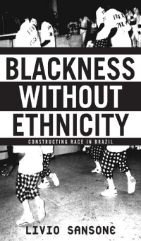 Omslagafbeelding: Blackness Without Ethnicity 9780312293741