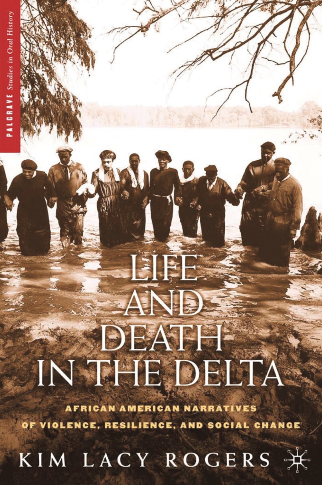 Life and Death in the Delta African American Narratives of Violence, Resilience, and Social Change