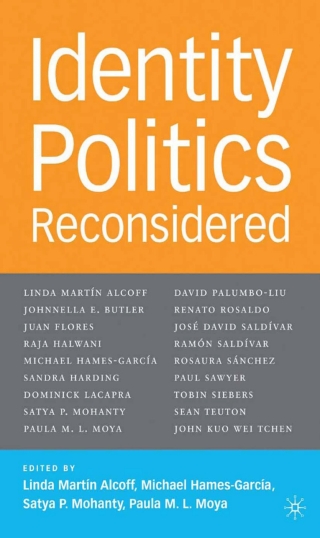 Cover image: Identity Politics Reconsidered 9781403964458