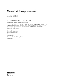 Imagen de portada: Manual of Sheep Diseases 2nd edition 9780470709658