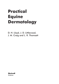 Imagen de portada: Practical Equine Dermatology 1st edition 9780632048076
