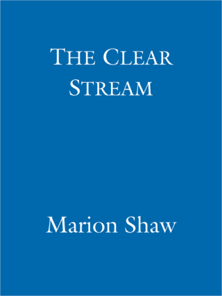 Cover image: The Clear Stream 9781405514774