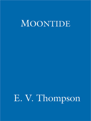 Cover image: Moontide 9781405519113