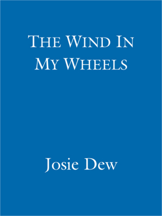 Cover image: The Wind In My Wheels 9780751502497