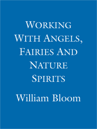 Cover image: Working With Angels, Fairies And Nature Spirits 9781405522410