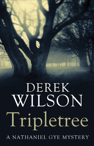 Cover image: Tripletree 9781405522632