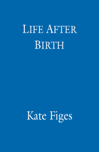 Cover image: Life After Birth 9781405528566