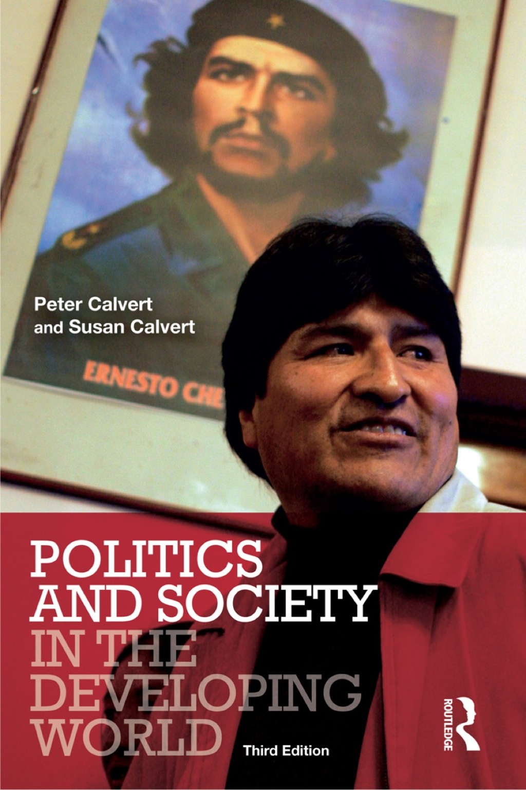 Politics and Society in the Developing World 3rd Edition
