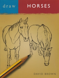 Omslagafbeelding: Draw Horses 1st edition 9780713683066