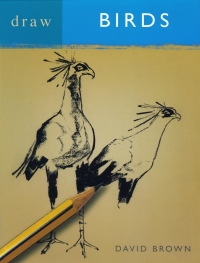 Titelbild: Draw Birds 1st edition 9780713683226