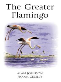 صورة الغلاف: The Greater Flamingo 1st edition 9780713665628
