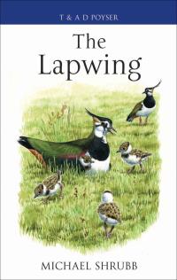 Imagen de portada: The Lapwing 1st edition 9780713668544