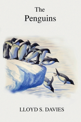 Imagen de portada: Penguins 1st edition 9780713665505