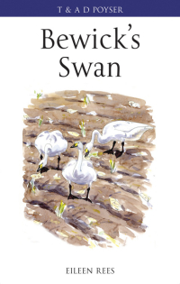 Omslagafbeelding: Bewick's Swan 1st edition 9780713665598