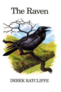 Titelbild: The Raven 1st edition 9780856610905