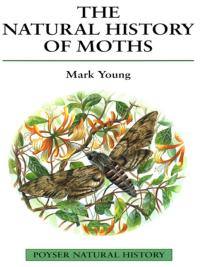Imagen de portada: The Natural History of Moths 1st edition 9780856611032