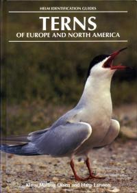 Immagine di copertina: Terns of Europe and North America 1st edition 9780713640564