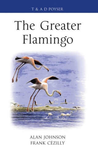 表紙画像: The Greater Flamingo 1st edition 9780713665628