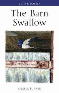 Omslagafbeelding: The Barn Swallow 1st edition 9780713665581