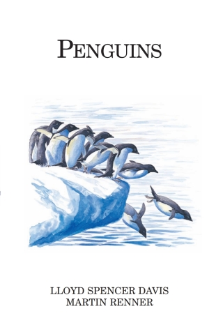 Imagen de portada: Penguins 1st edition 9780713665505