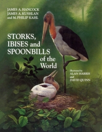 Titelbild: Storks, Ibises and Spoonbills of the World 1st edition 9780123227300