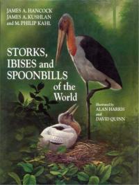 صورة الغلاف: Storks, Ibises and Spoonbills of the World 1st edition 9780123227300
