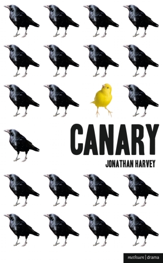 Imagen de portada: Canary 1st edition 9781408131046