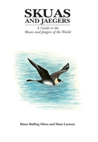 Imagen de portada: Skuas and Jaegers 1st edition 9781408189078